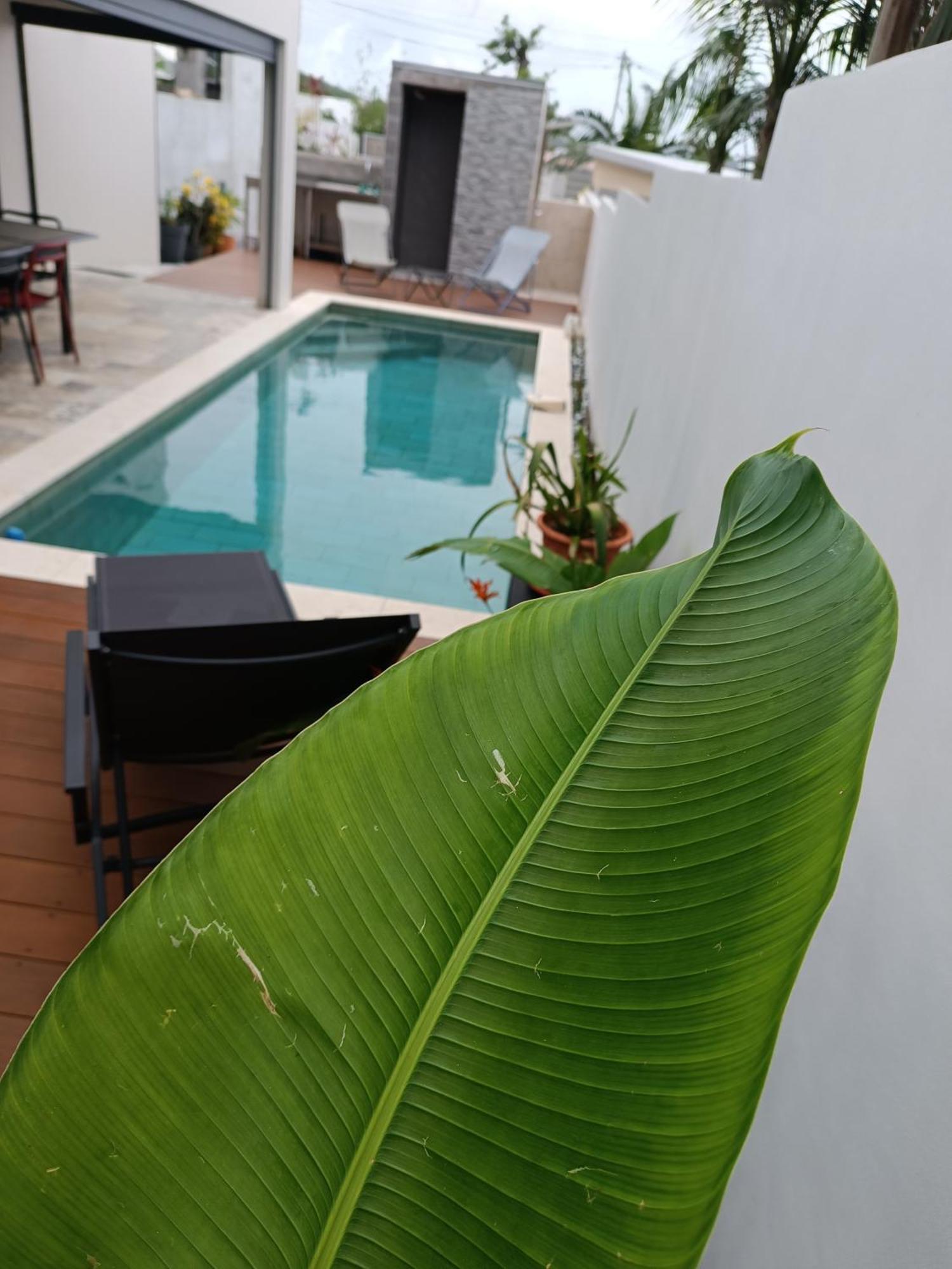 Villa O'Lhaya Piscine Pivee Saint-Joseph Exterior photo