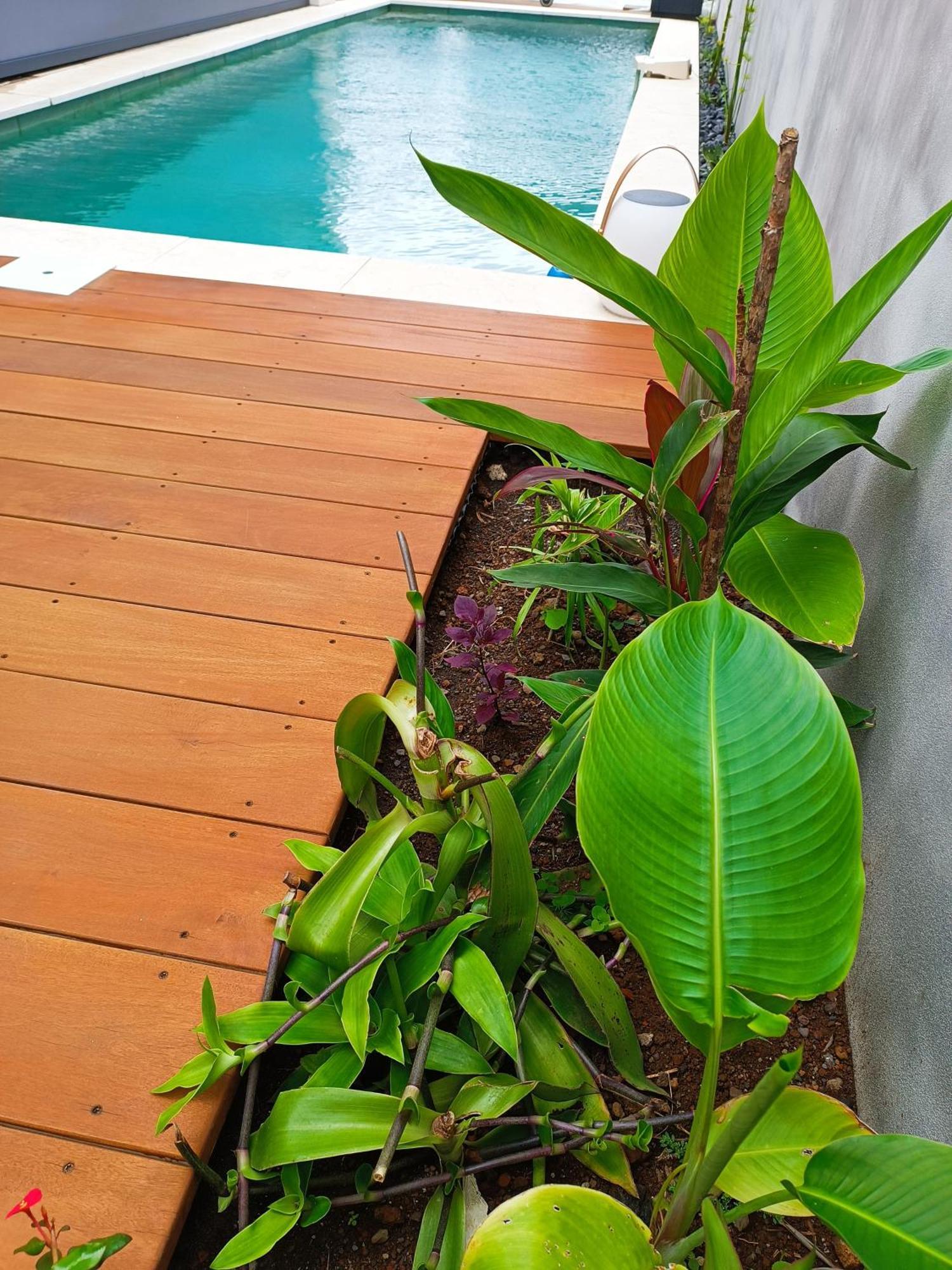 Villa O'Lhaya Piscine Pivee Saint-Joseph Exterior photo