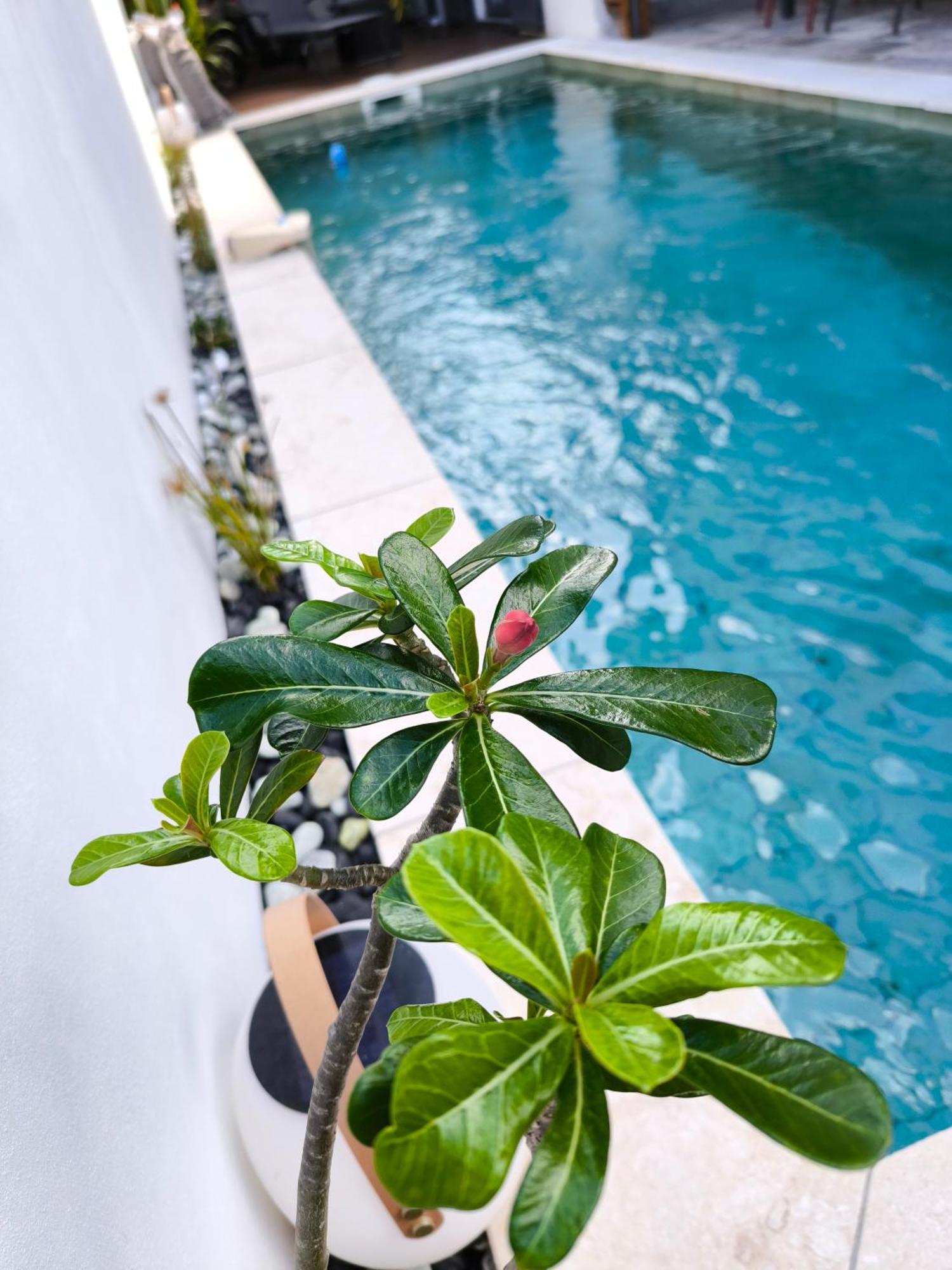 Villa O'Lhaya Piscine Pivee Saint-Joseph Exterior photo